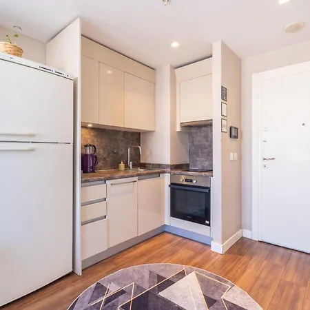 Apartment Pera Boutique
